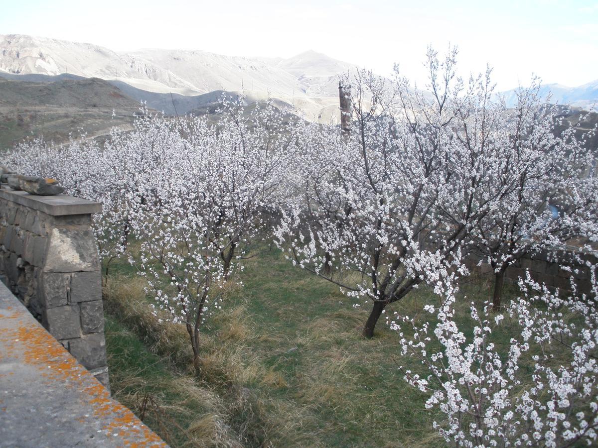 Ave Zara Bed and Breakfast Vagudy Buitenkant foto