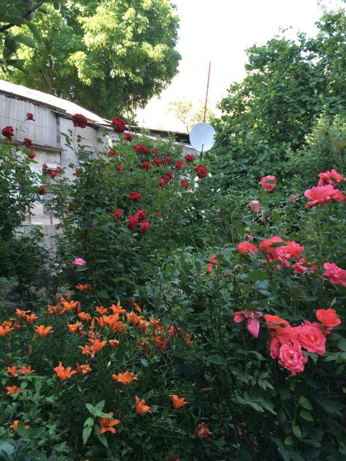 Ave Zara Bed and Breakfast Vagudy Buitenkant foto